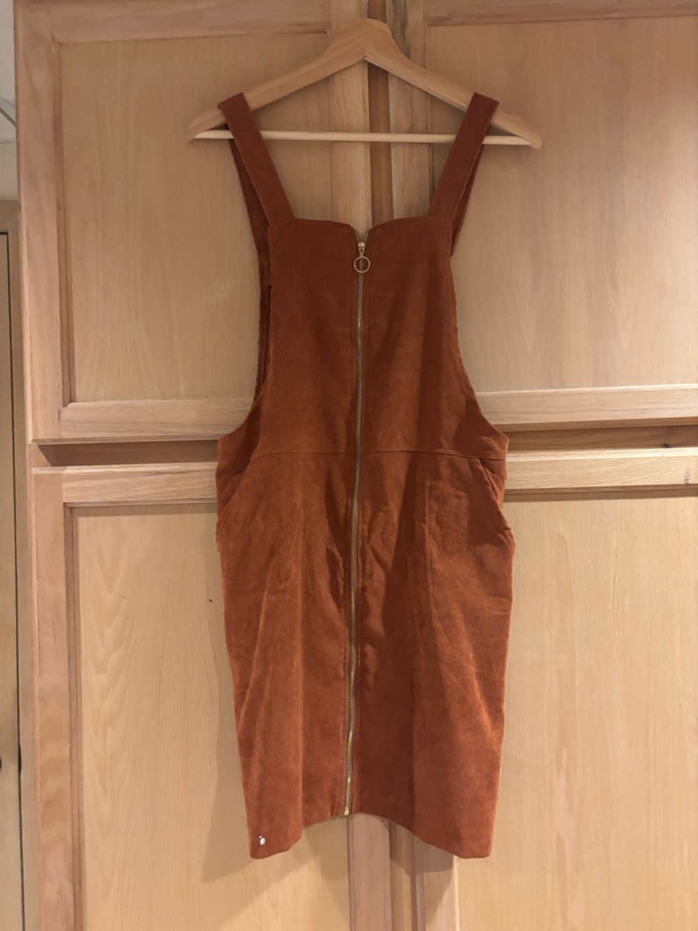Suede Zip-Front Mini Pinafore Dress in Rust - Picture 6 of 8